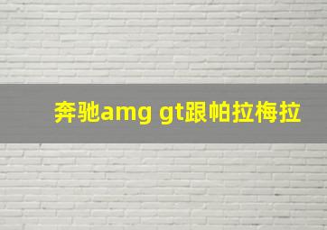 奔驰amg gt跟帕拉梅拉